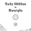 Cats Hidden in Georgia